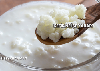Kefir Ne İşe Yarar?