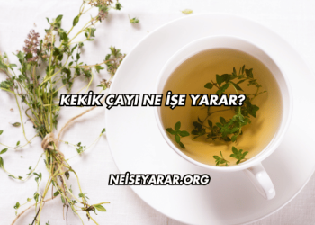 Kekik Çayı Ne İşe Yarar?