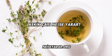 Kekik Çayı Ne İşe Yarar?