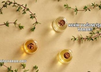 Kekik Yağı Ne İşe Yarar?