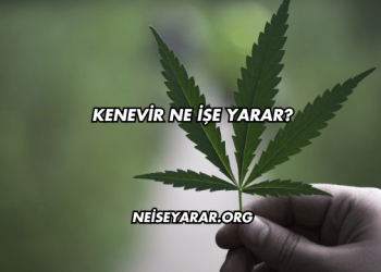 Kenevir Ne İşe Yarar?