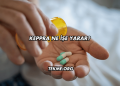 Keppra Ne İşe Yarar?