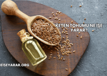 Keten Tohumu Ne İşe Yarar?