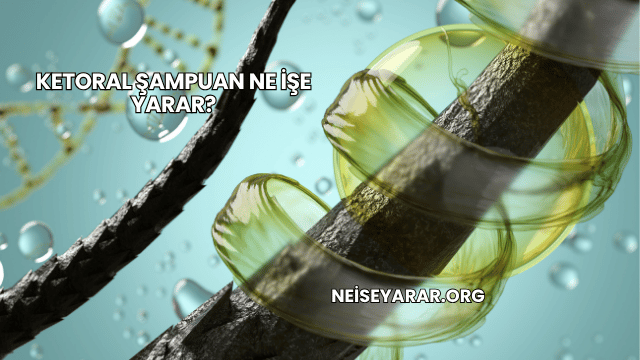 Ketoral Şampuan Ne İşe Yarar?