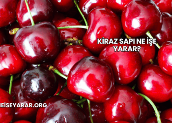 Kiraz Sapı Ne İşe Yarar?