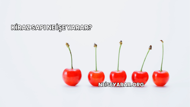 Kiraz Sapı Ne İşe Yarar?