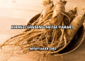 Kırmızı Ginseng Ne İşe Yarar?