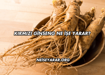 Kırmızı Ginseng Ne İşe Yarar?