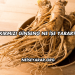 Kırmızı Ginseng Ne İşe Yarar?