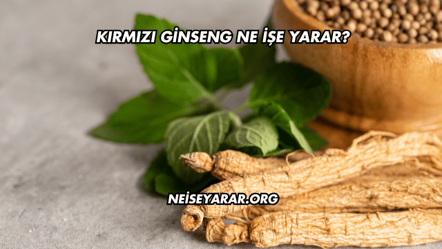 Kırmızı Ginseng Ne İşe Yarar?