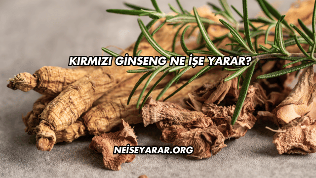 Kırmızı Ginseng Ne İşe Yarar?
