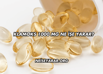 Klamoks 1000 Mg Ne İşe Yarar?