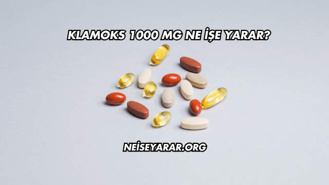 Klamoks 1000 Mg Ne İşe Yarar?