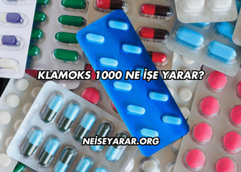 Klamoks 1000 Ne İşe Yarar?