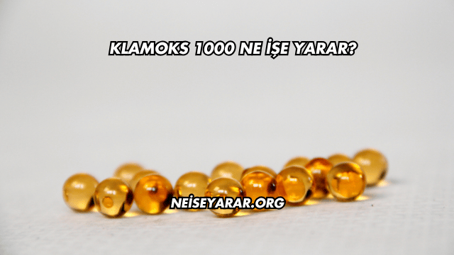 Klamoks 1000 Ne İşe Yarar?