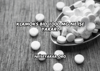 Klamoks BID 1000 Mg Ne İşe Yarar?