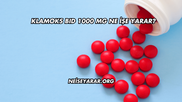 Klamoks BID 1000 Mg Ne İşe Yarar?