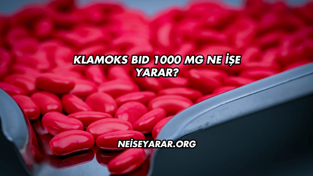 Klamoks BID 1000 Mg Ne İşe Yarar?