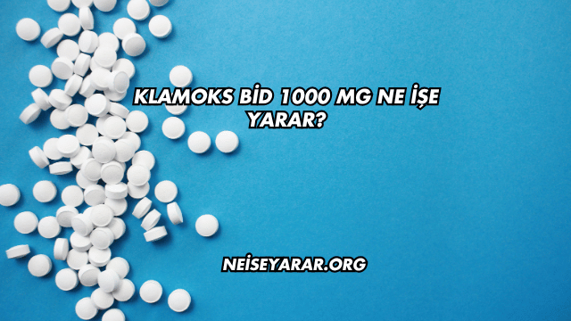 Klamoks Bid 1000 Mg Ne İşe Yarar?