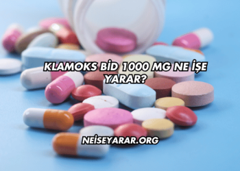 Klamoks Bid 1000 Mg Ne İşe Yarar?