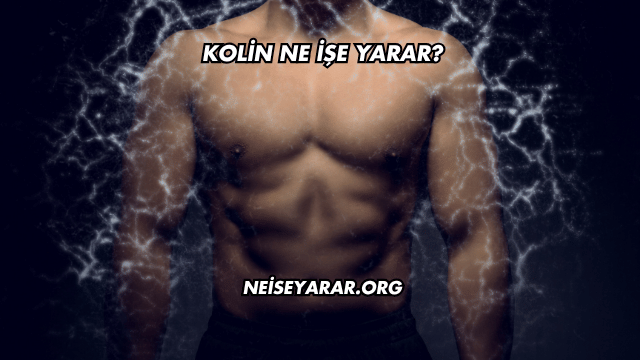 Kolin Ne İşe Yarar?