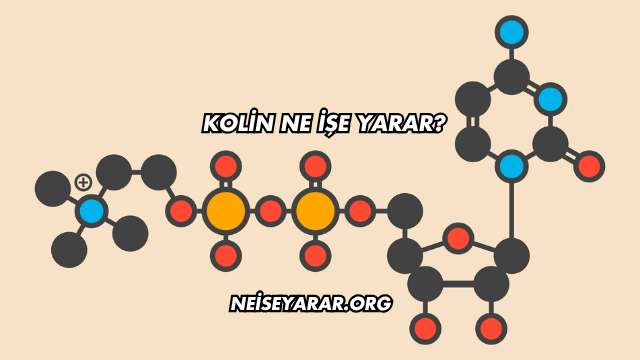 Kolin Ne İşe Yarar?