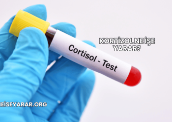 Kortizol Ne İşe Yarar?