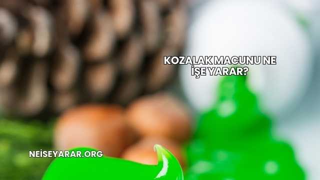 Kozalak Macunu Ne İşe Yarar?