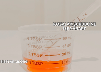 Kozalak Şurubu Ne İşe Yarar?