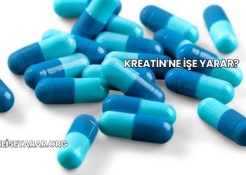 Kreatin Ne İşe Yarar?