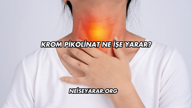 Krom Pikolinat Ne İşe Yarar?