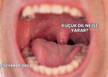 Küçük Dil Ne İşe Yarar?