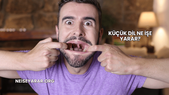 Küçük Dil Ne İşe Yarar?