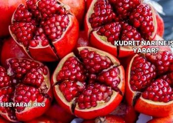 Kudret Narı Ne İşe Yarar?