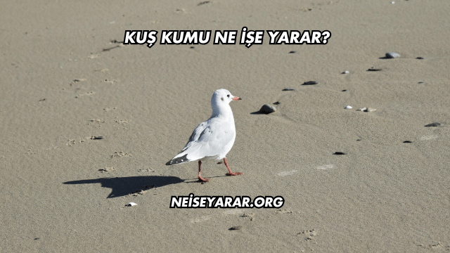 Kuş Kumu Ne İşe Yarar?
