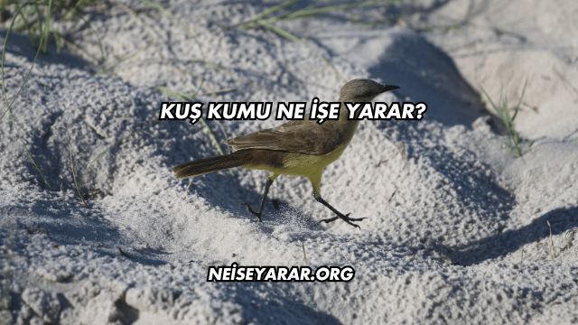 Kuş Kumu Ne İşe Yarar?