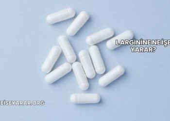 L Arginine Ne İşe Yarar?