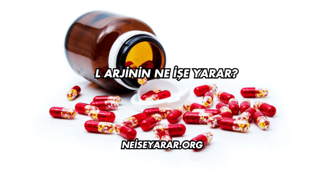 L Arjinin Ne İşe Yarar?