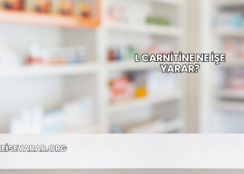 L Carnitine Ne İşe Yarar?
