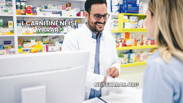 L Carnitine Ne İşe Yarar?