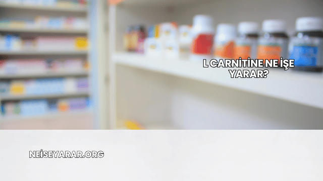 L Carnitine Ne İşe Yarar?
