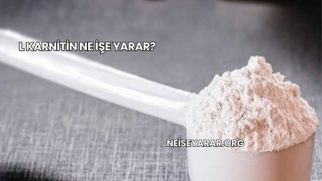 L Karnitin Ne İşe Yarar?
