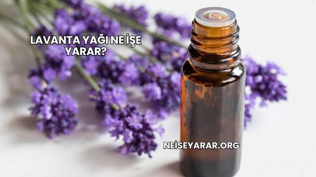 Lavanta Yağı Ne İşe Yarar?