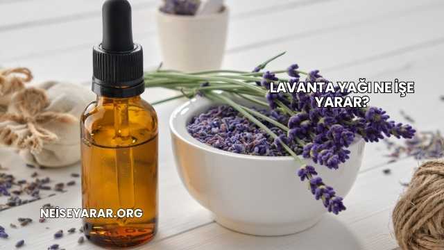 Lavanta Yağı Ne İşe Yarar?