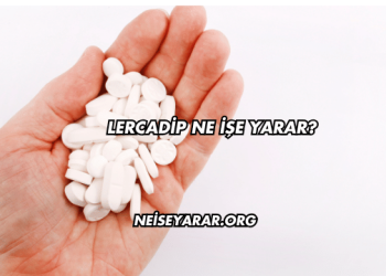 Lercadip Ne İşe Yarar?