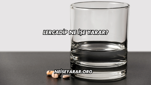 Lercadip Ne İşe Yarar?