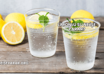 Limonlu Su Ne İşe Yarar?