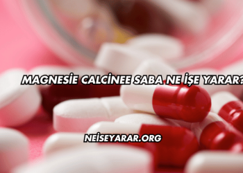 Magnesie Calcinee Saba Ne İşe Yarar?