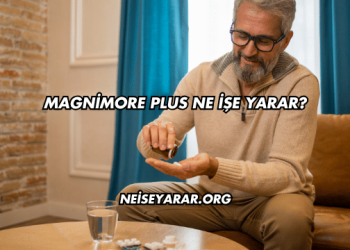 Magnimore Plus Ne İşe Yarar?