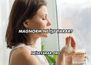 Magnorm Ne İşe Yarar?